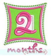 Square Numbers Monthly Milestones Set 4x4 5x7